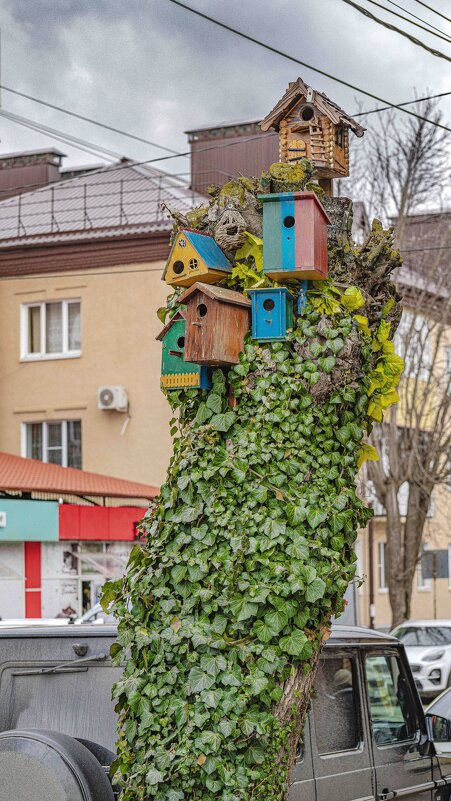 Скворечный птичий поселок! - Вячеслав Назаренко