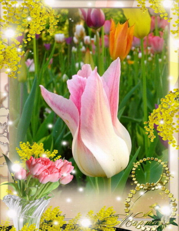 С Праздником вас, дрогие женщины! Будьте счастливы! - Лия ☼