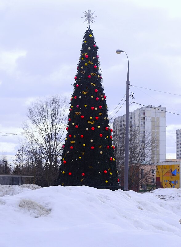 С весенним праздником, с 8-м марта, дорогие женщины! - Василий Палий