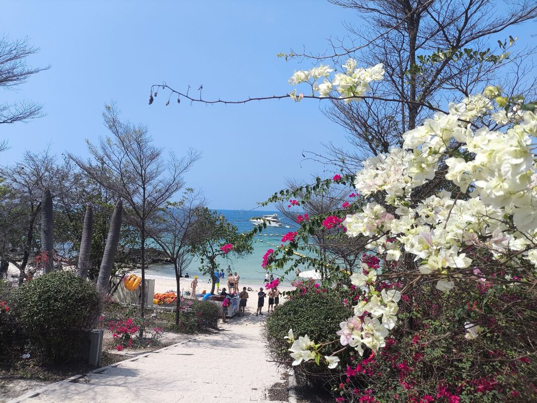 На острове Ко-Лан - Валентина Богатко 