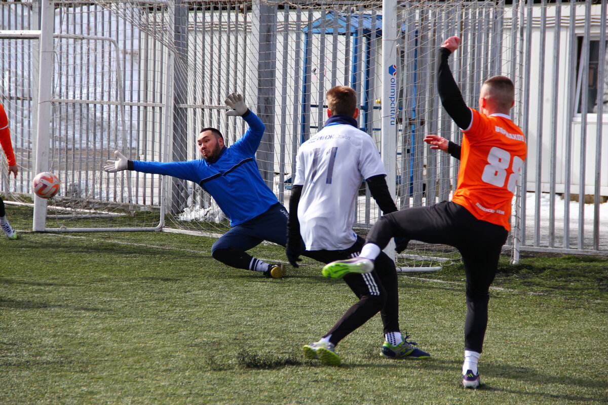 Быстрый гол - Екатерина Шурыгина