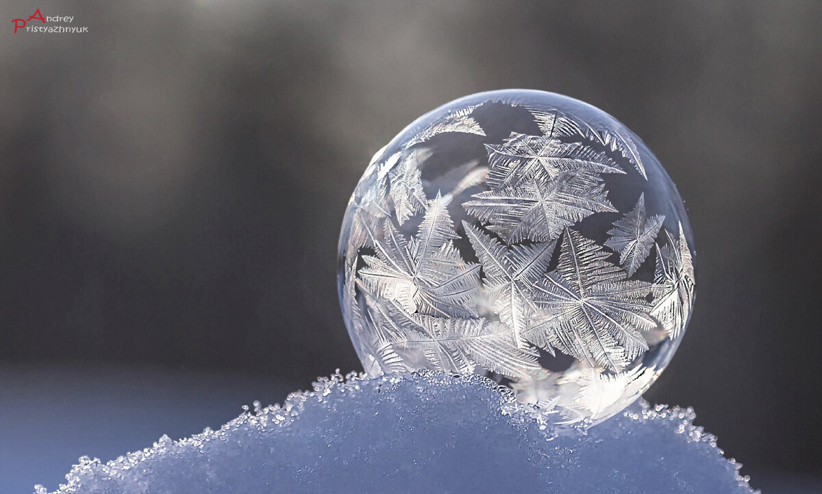 На снегу... - Андрей Пристяжнюк