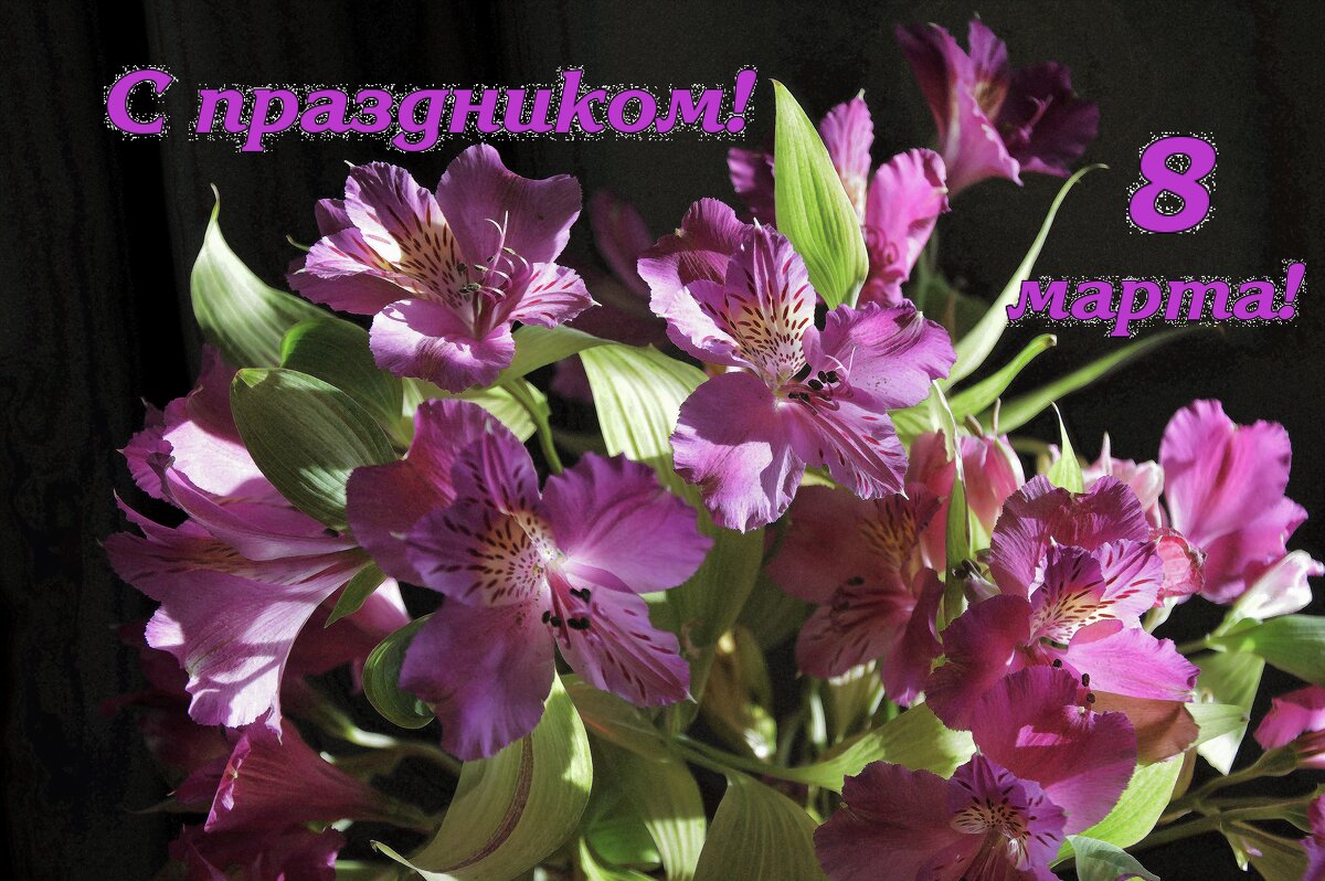 С праздником! - Надежда Куркина С праздником! - Надежда Куркина