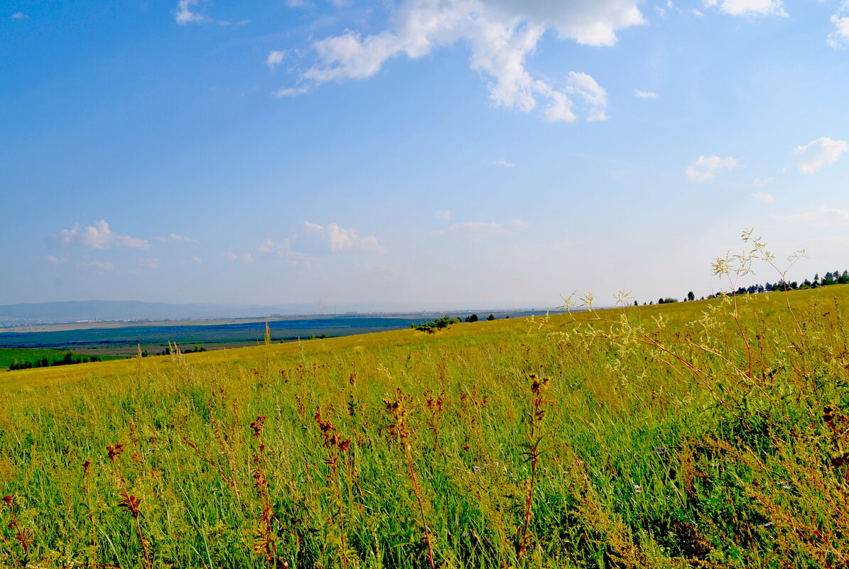 Степь - Мишель71 Степь - Мишель71