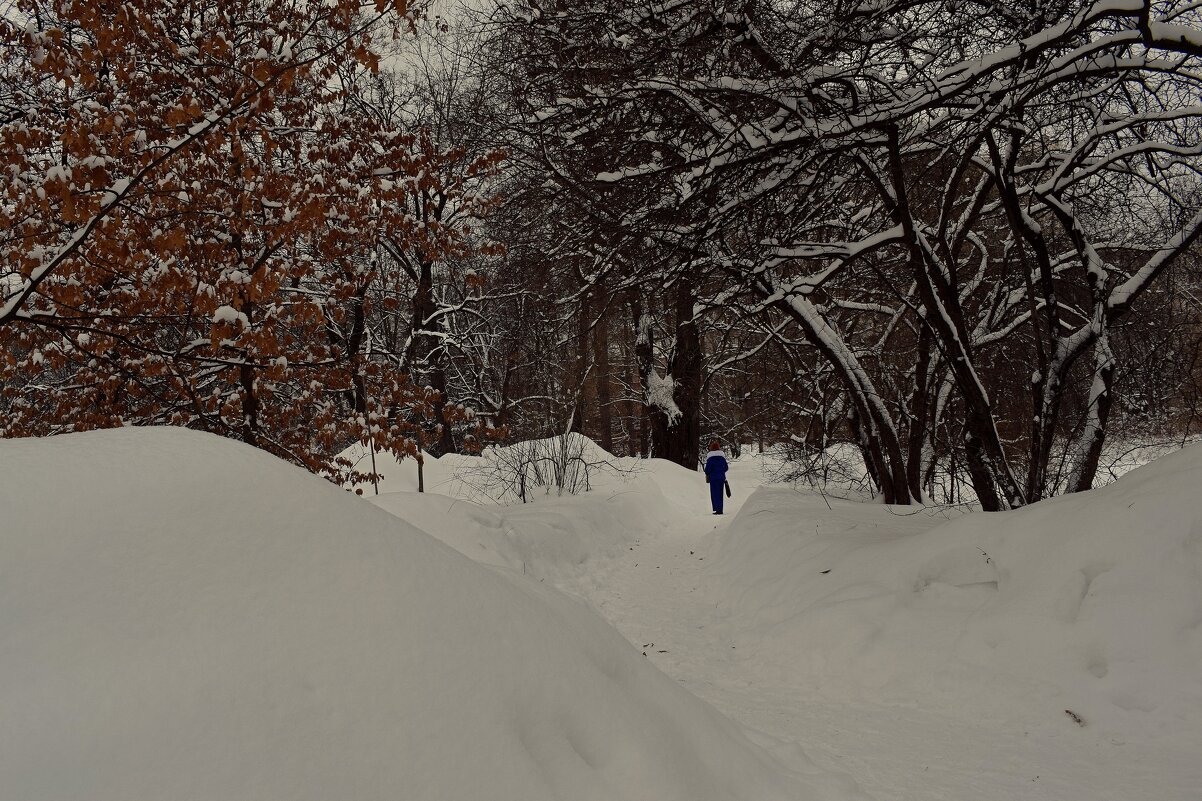 Снега много, а людей мало. - Татьяна Помогалова
