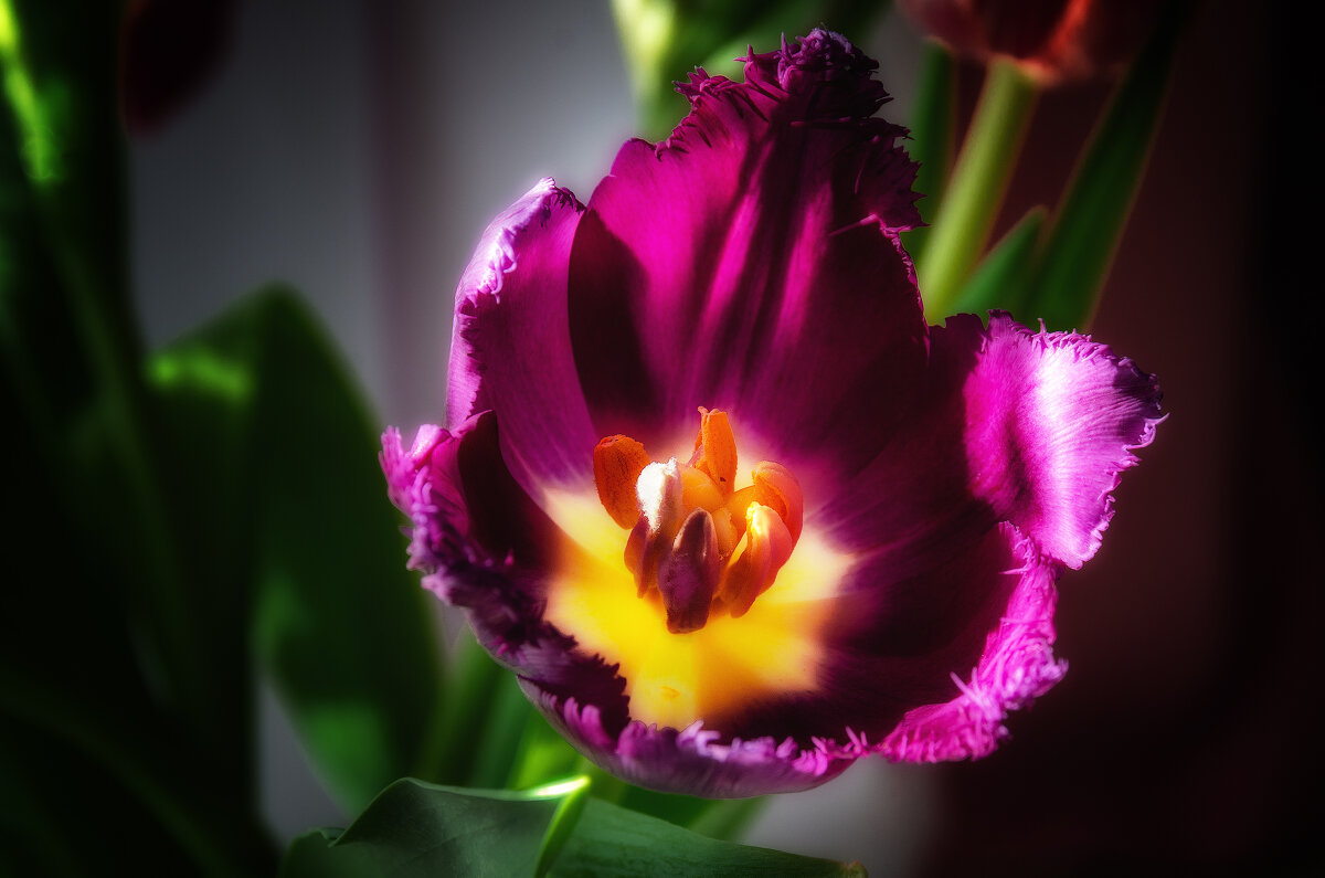 *** - Виктор Иванович Чернюк