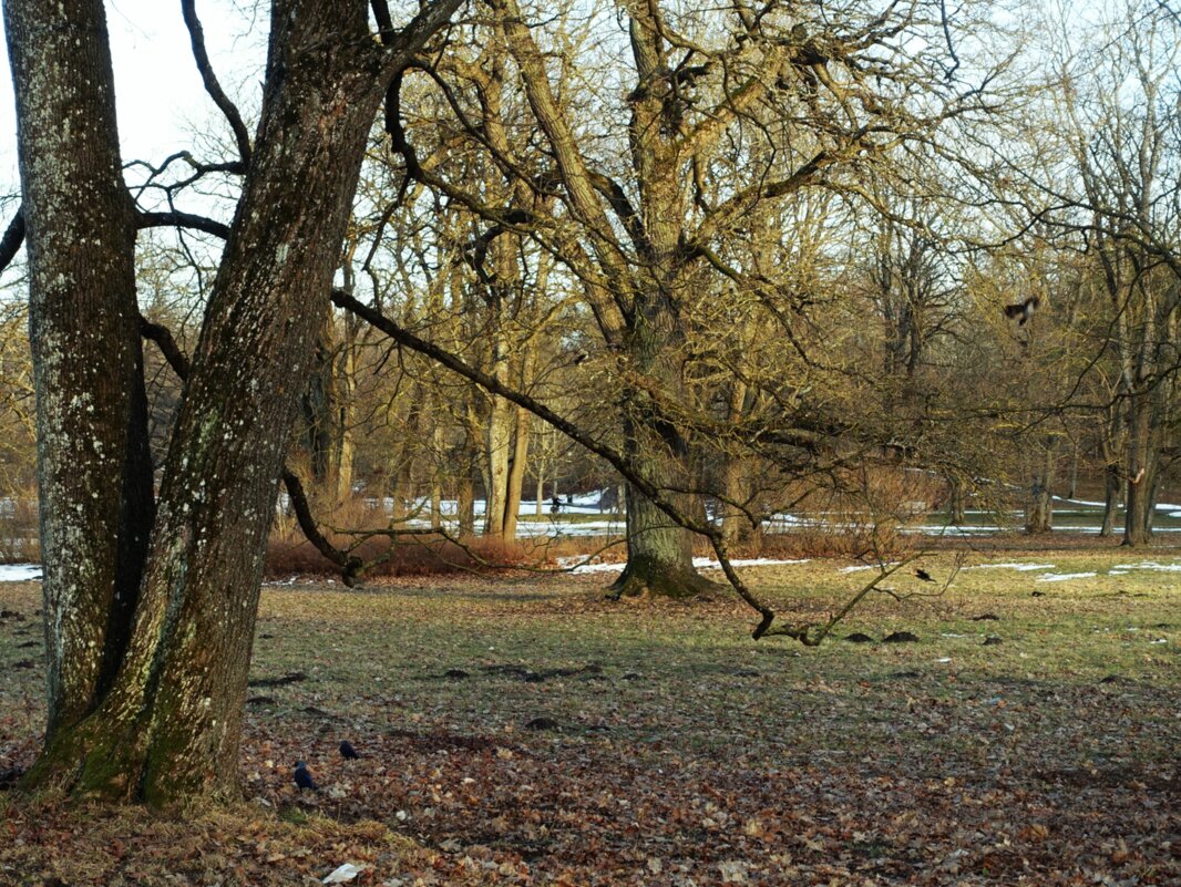 В старинном парке - Aida10 В старинном парке - Aida10