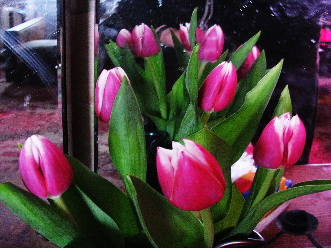 Красота - Людмила Смородинская