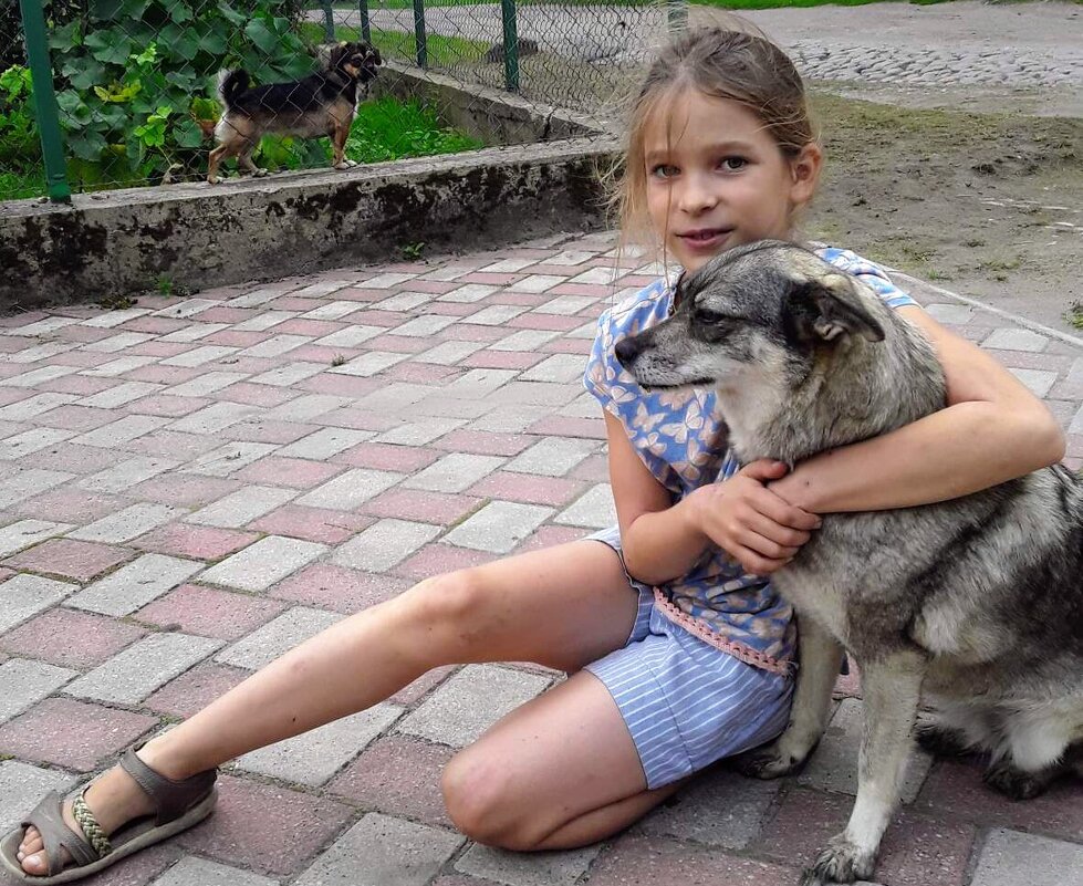 Друзья - Георгиевич 