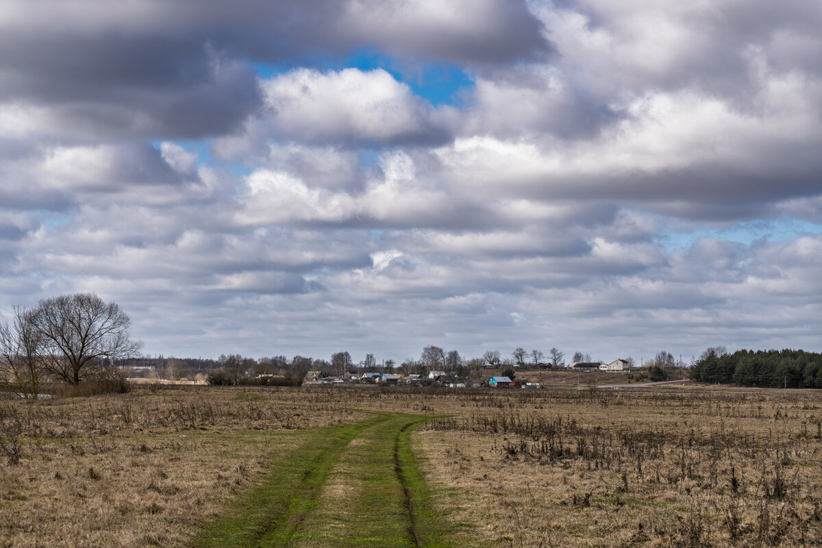 Деревня Сапежинка - Игорь Сикорский