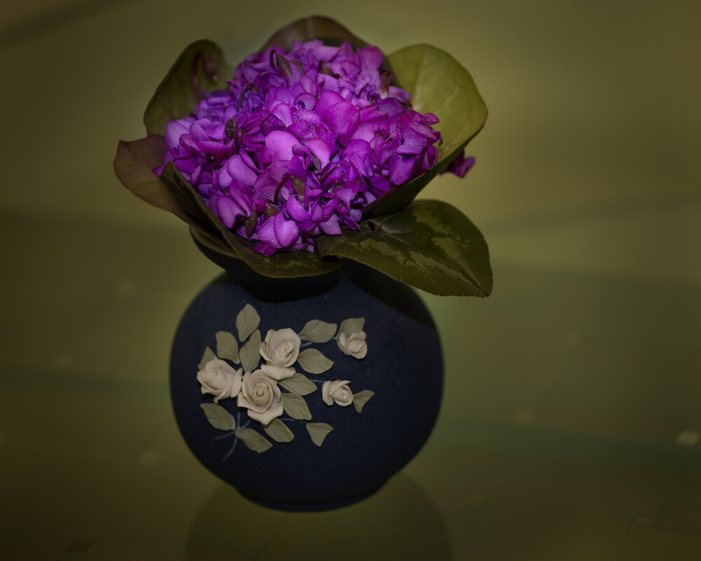 Цикламенчики - Леонид 