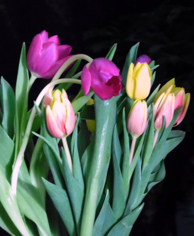 ПРОДОЛЖАЕМ ПРАЗДНОВАТЬ. - nadyasilyuk Вознюк ПРОДОЛЖАЕМ ПРАЗДНОВАТЬ. - nadyasilyuk Вознюк