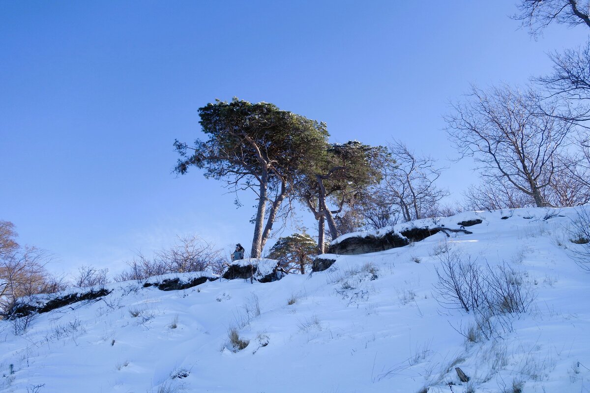 Февраль, Побережье Балтийского моря, Калининградская область - Рита Симонова Февраль, Побережье Балтийского моря, Калининградская область - Рита Симонова