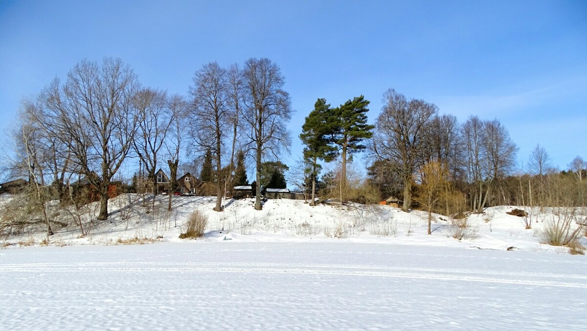 Весна на Смоленщине. - Милешкин Владимир Алексеевич 