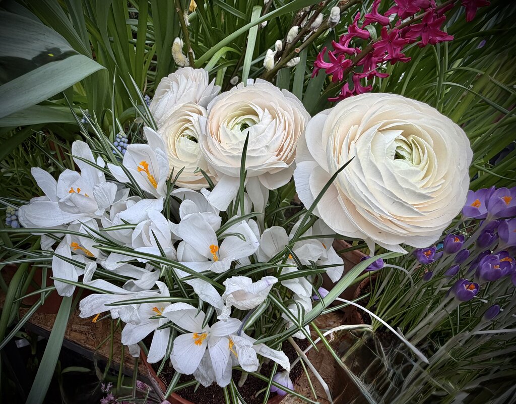 Весенники - Любовь 