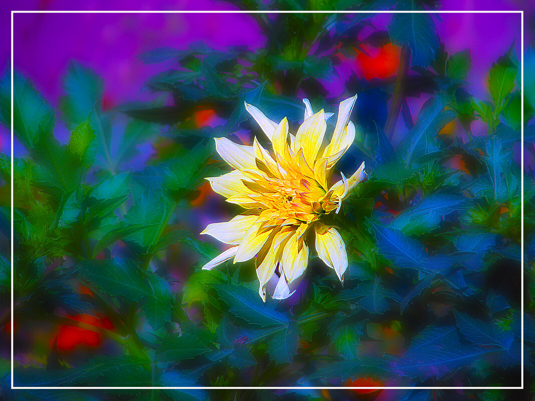 Напоминание о лете. - Владимир Кроливец