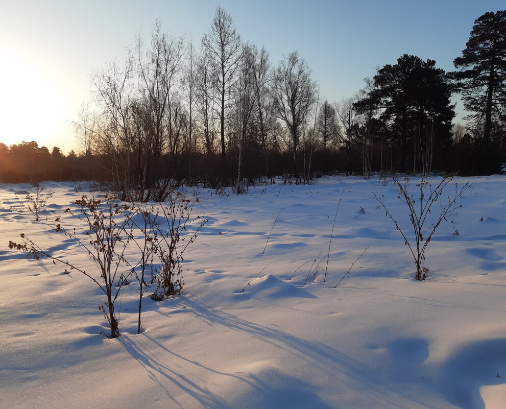 Рассветы - Галина Минчук