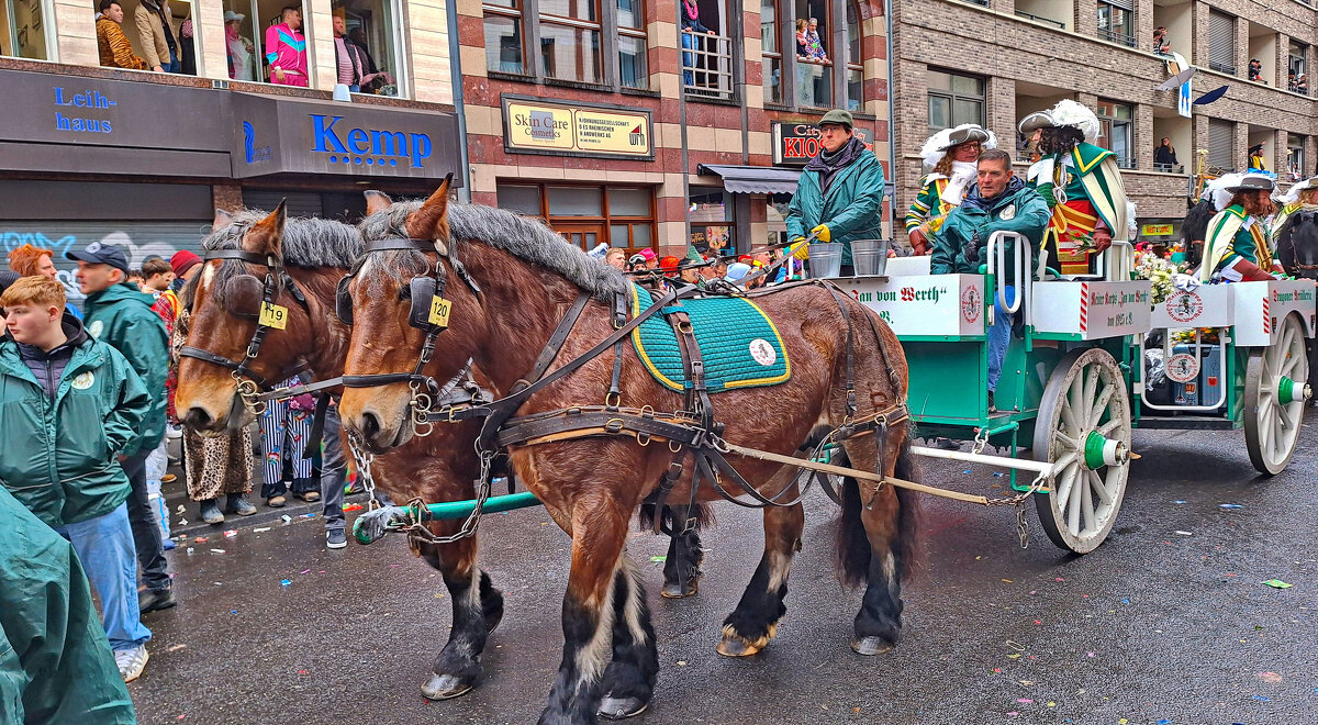 Карнавал в Кёльне - Андрей K.