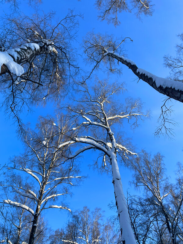 **** - Андрей Л. В.