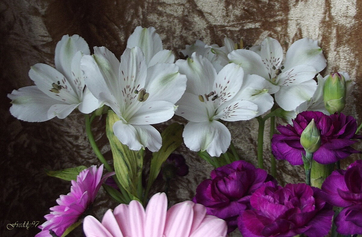 Букет - Freddy 97