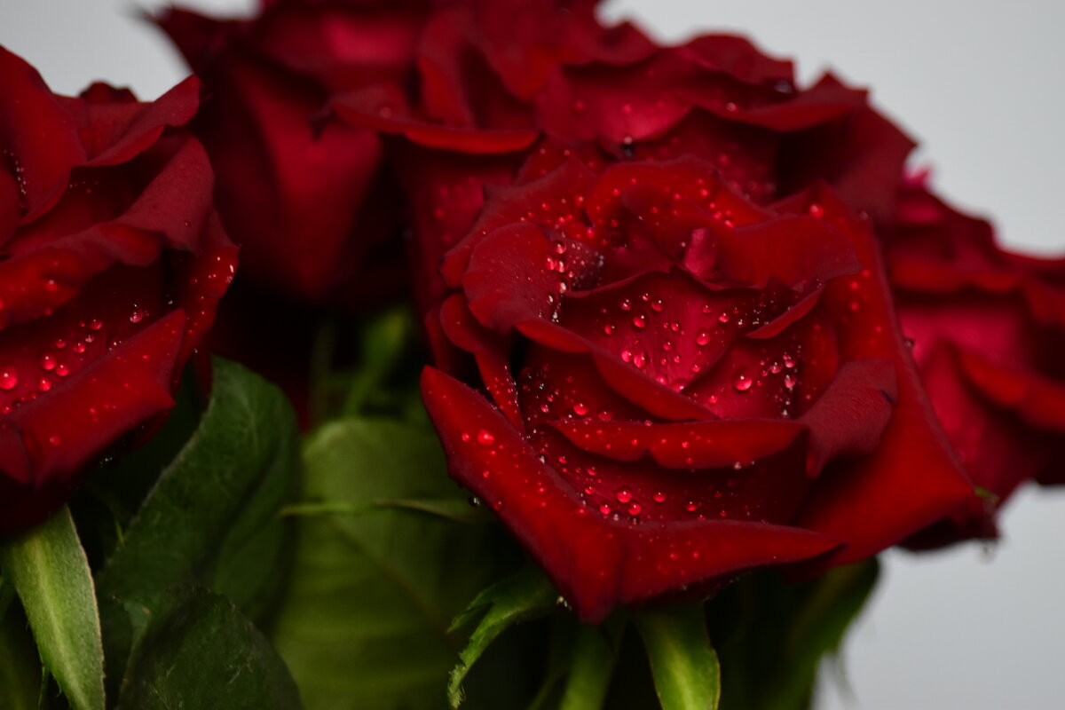 Капли. - Наталья Вязигина