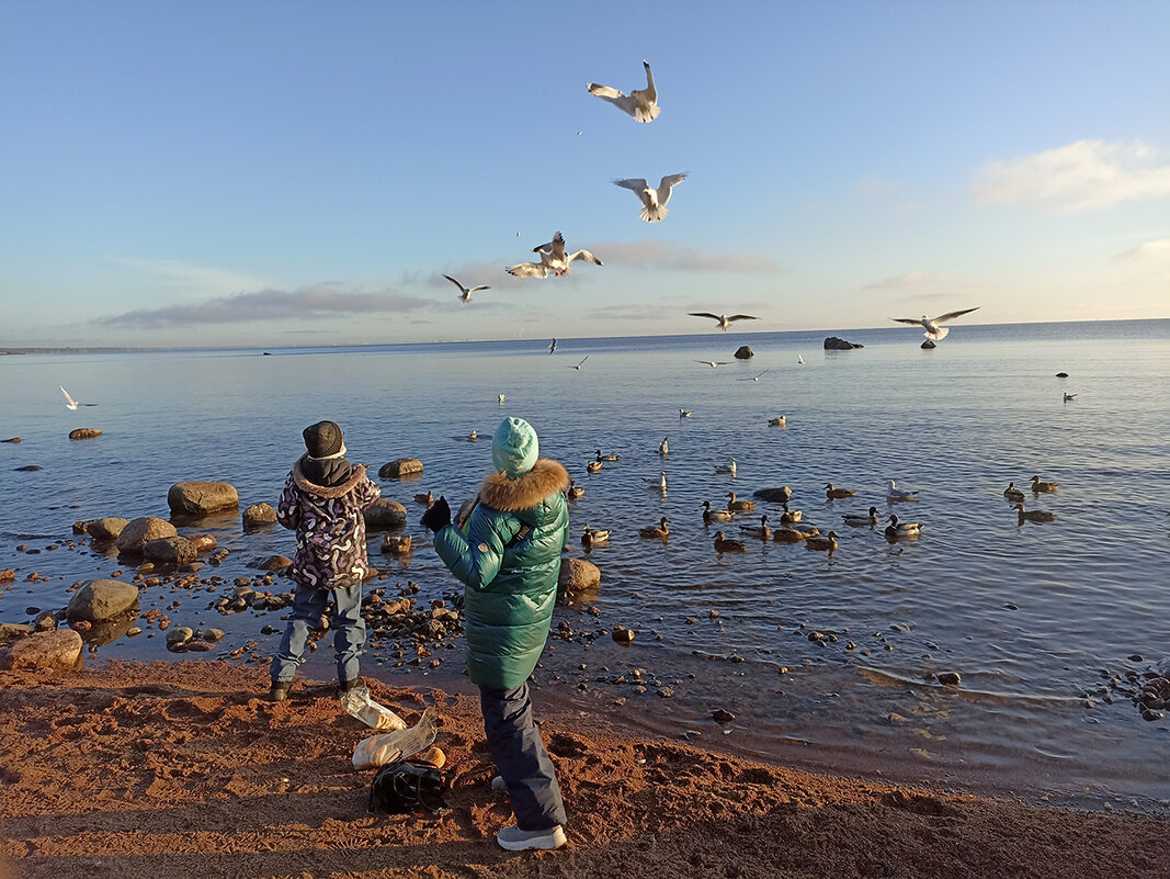 Дети кормят птиц. - Лилия * Дети кормят птиц. - Лилия *