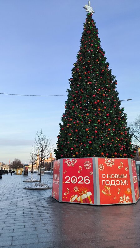 Московские ёлочки. - Ольга Московские ёлочки. - Ольга