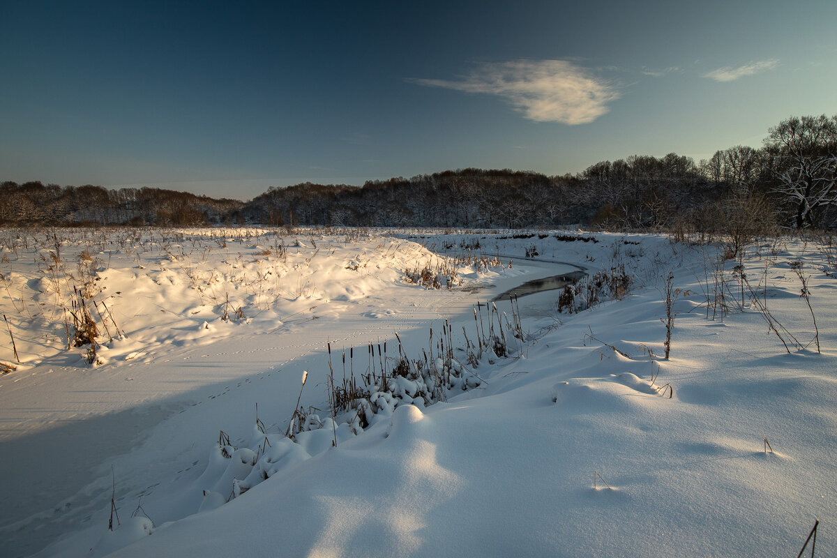 *** - Эдуард Кокозов *** - Эдуард Кокозов