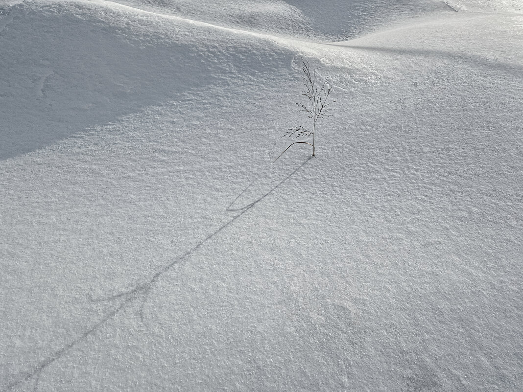 Февраль - Eugene *