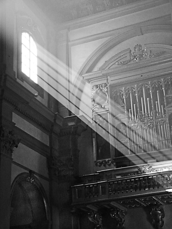 Свет небесный - Наталья Rosenwasser