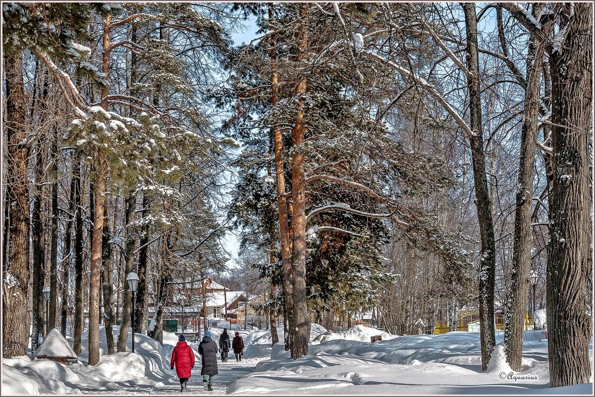 Мороз и солнце день чудесный... - Aquarius - Сергей