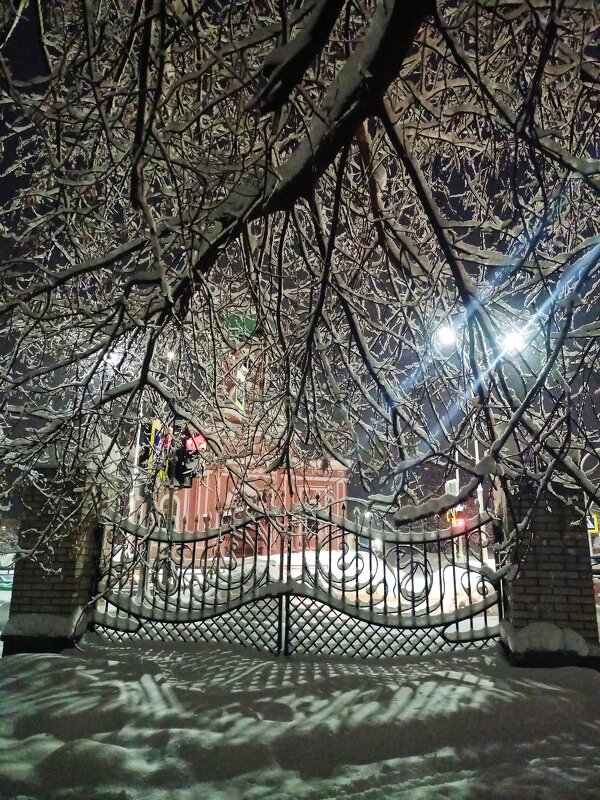 Вечер в Летнем саду - Сергей Кочнев