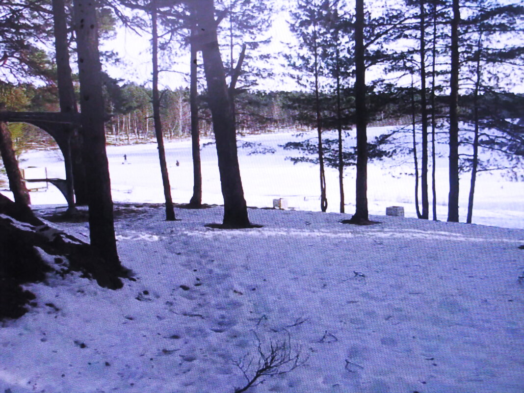 На Можайском водохранилище - Людмила Смородинская