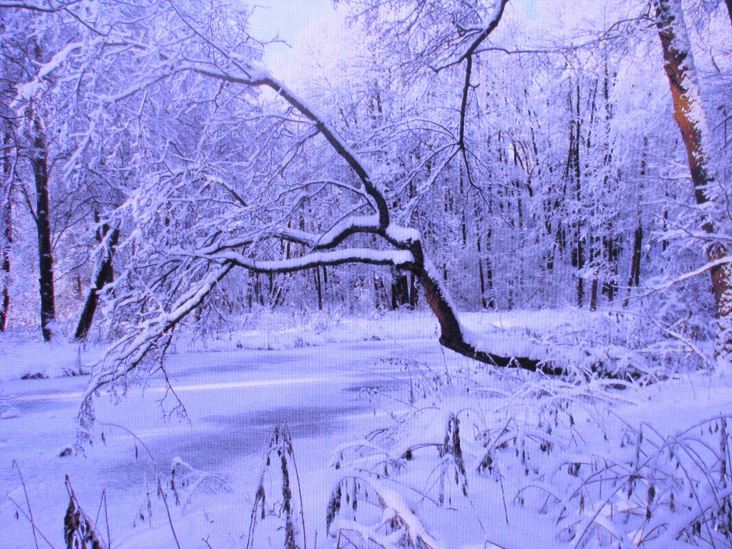Снег тает очень медленно - Людмила Смородинская