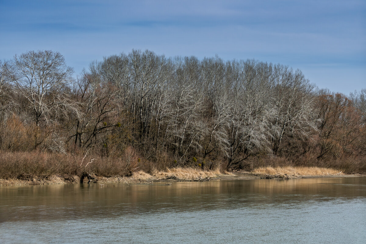 Март, река Кубань - Игорь Сикорский