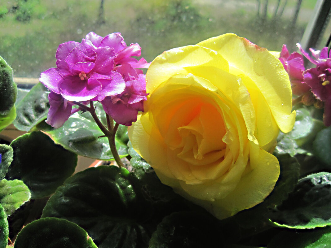 Двое - Елена Семигина