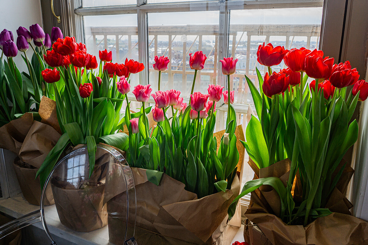 Весна. - Ирина Соловьёва