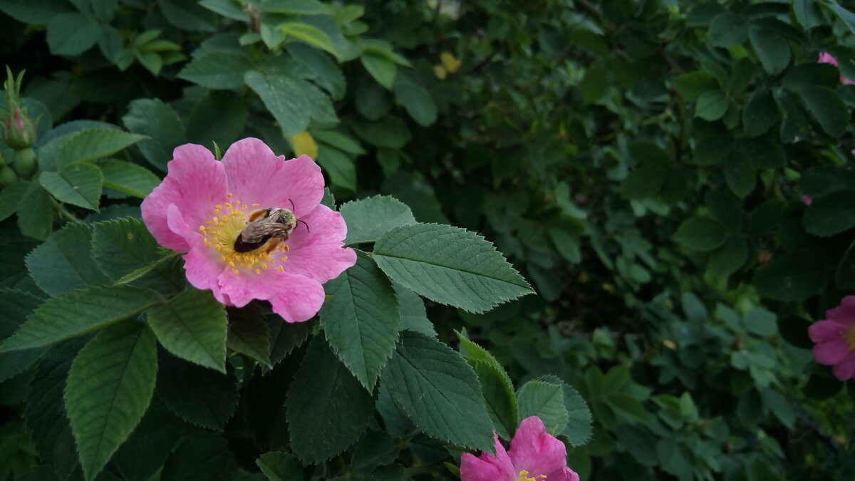 ,,,, - Сергей Тимоновский