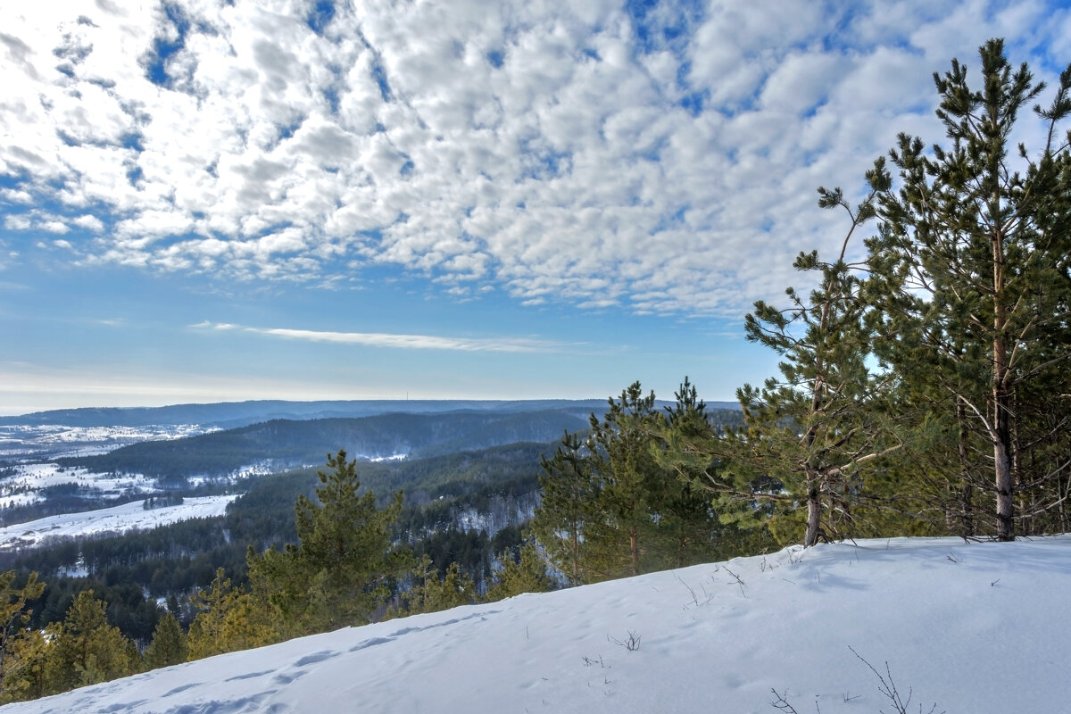 В ожидании тепла - Наталья Димова