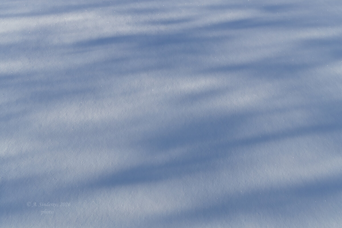 На снегу - Александр Синдерёв