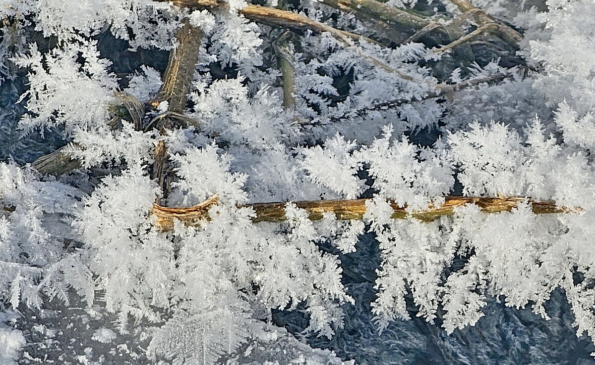 Весенний иней - Михаил Свиденцов
