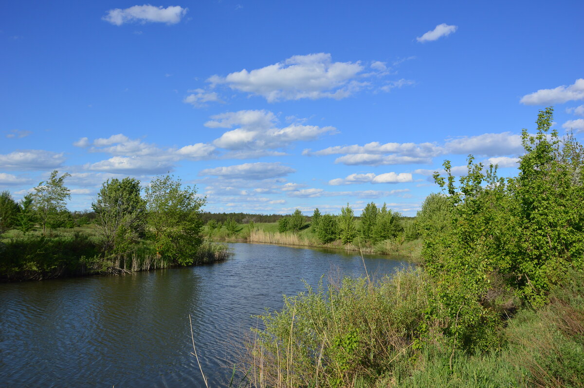 Донские виды. - Виктор 