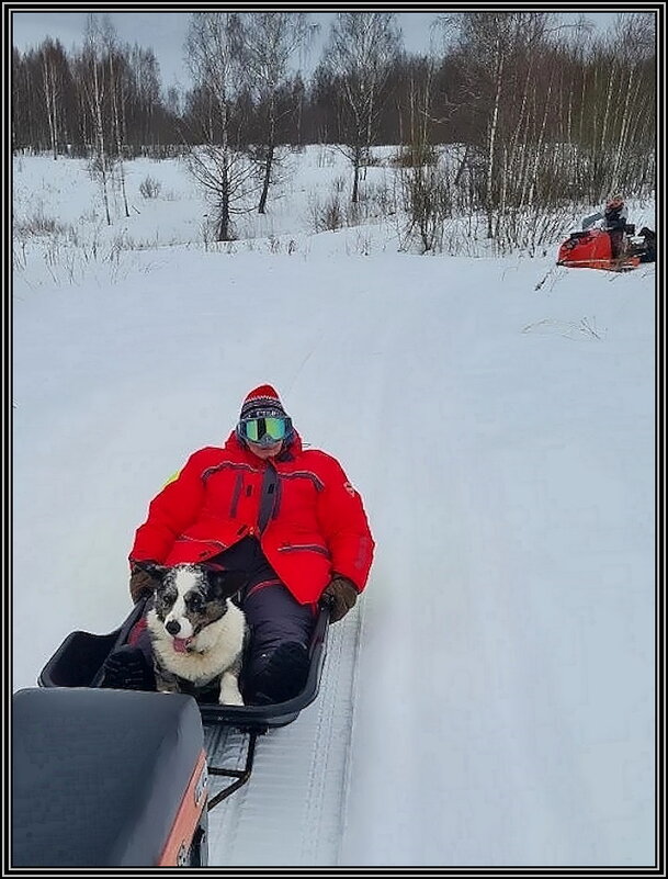 Кто не любит быстрой езды!? - Ольга Довженко