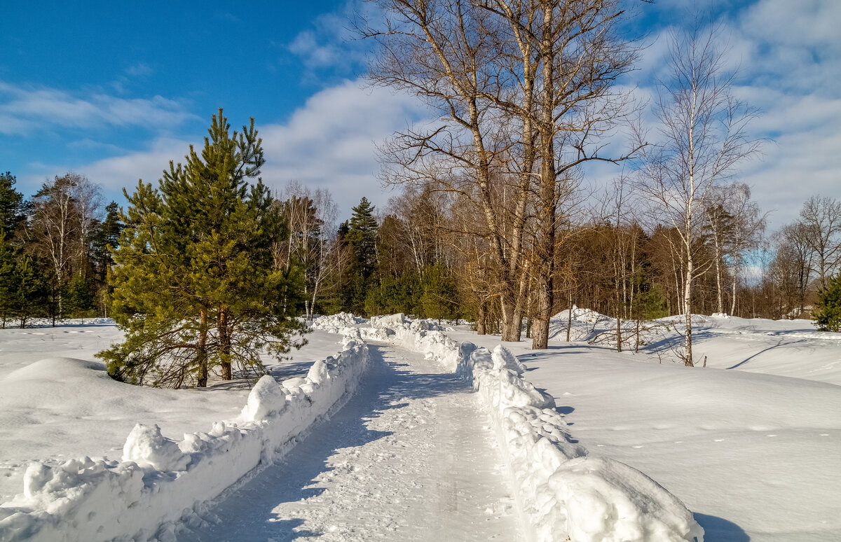 Весна набирает обороты 5 - Андрей Дворников