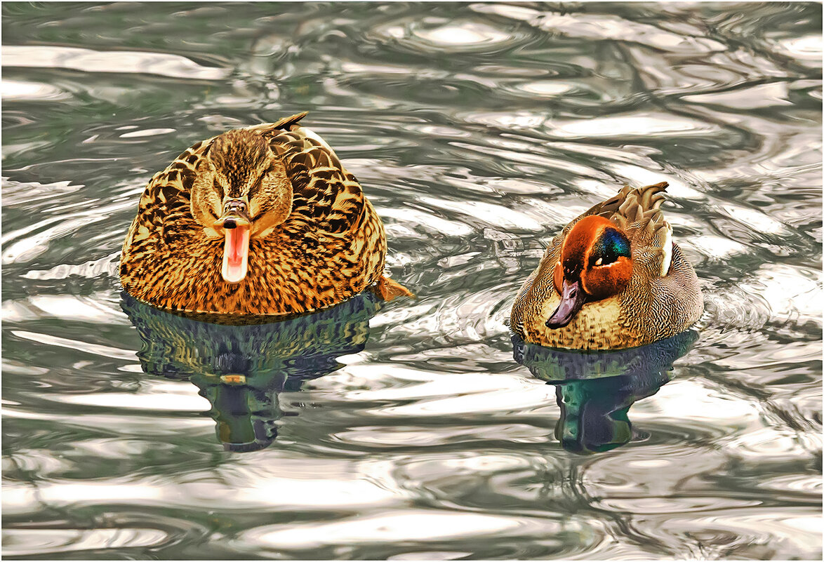 Сладкая парочка - Валентин Котляров