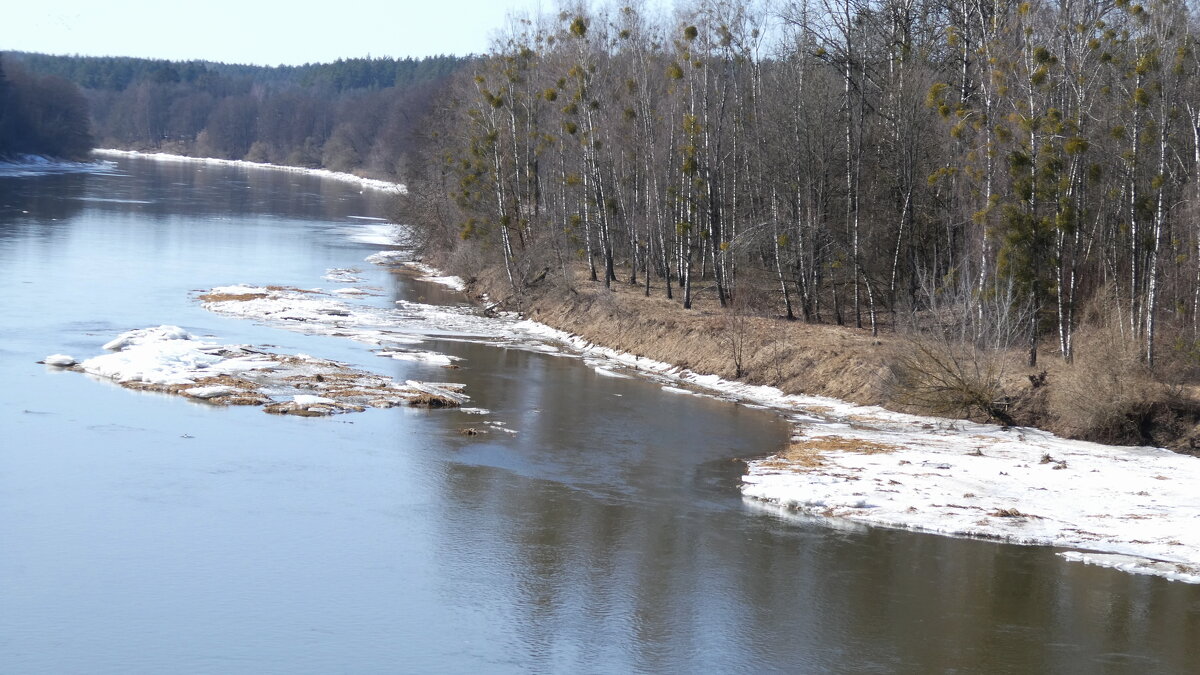 Запахло весной...Тестим Panasonic lumix tz99. - rimgis 