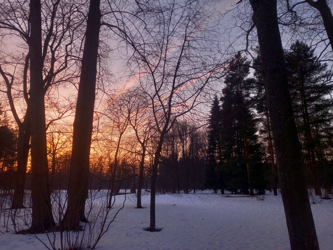 Закат - Сапсан 