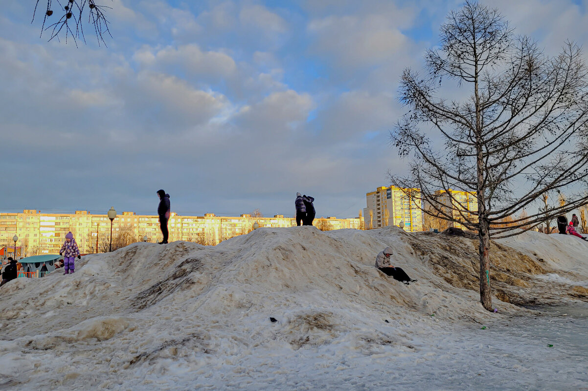 Горы февральского снега - Татьяна Машошина