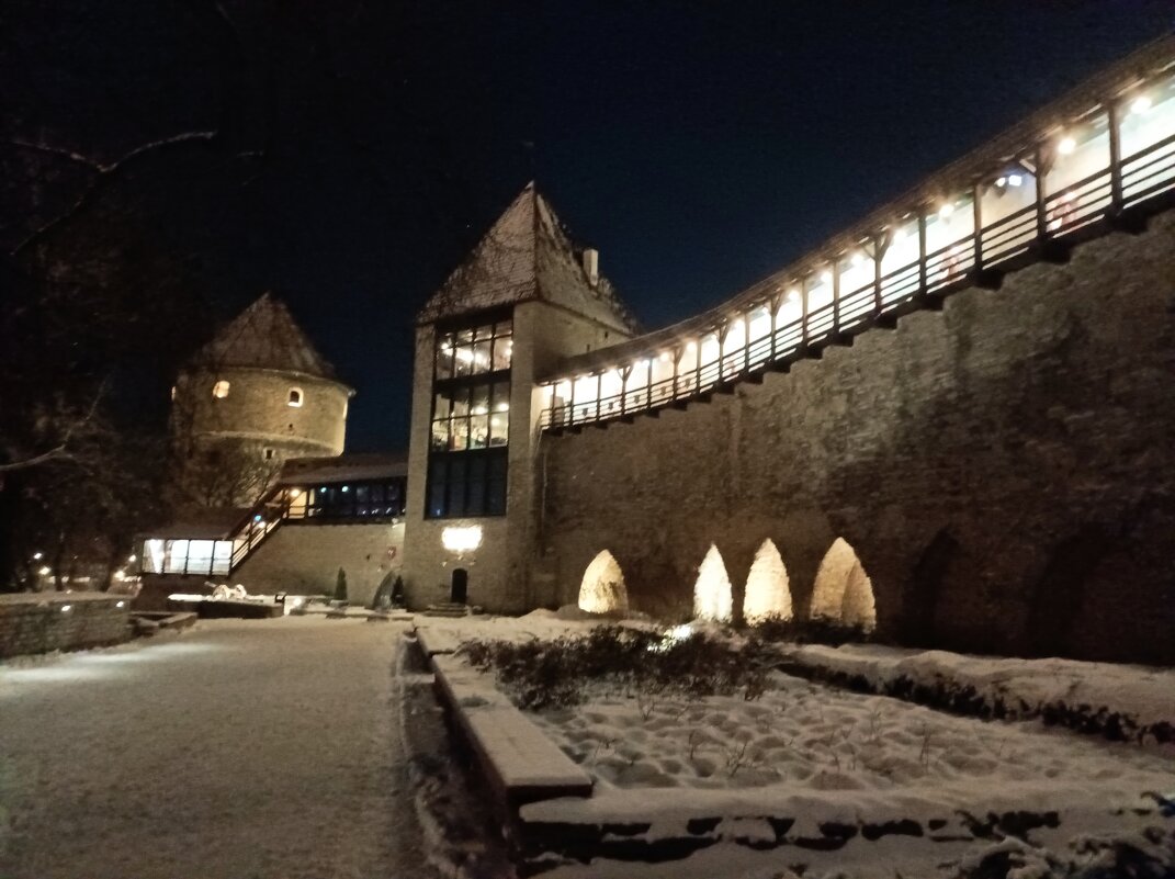 Вечерняя прогулка - Veera V