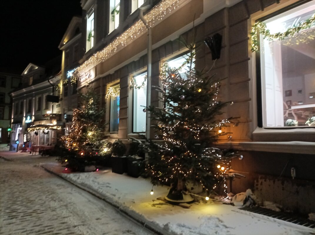 Вечерняя прогулка - Veera V